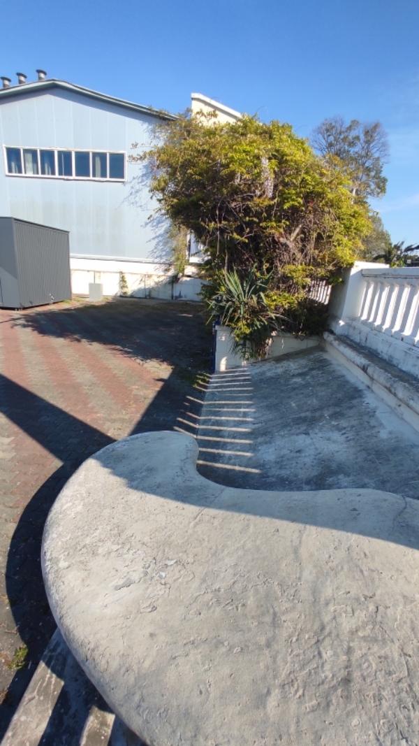 Фото лота 4